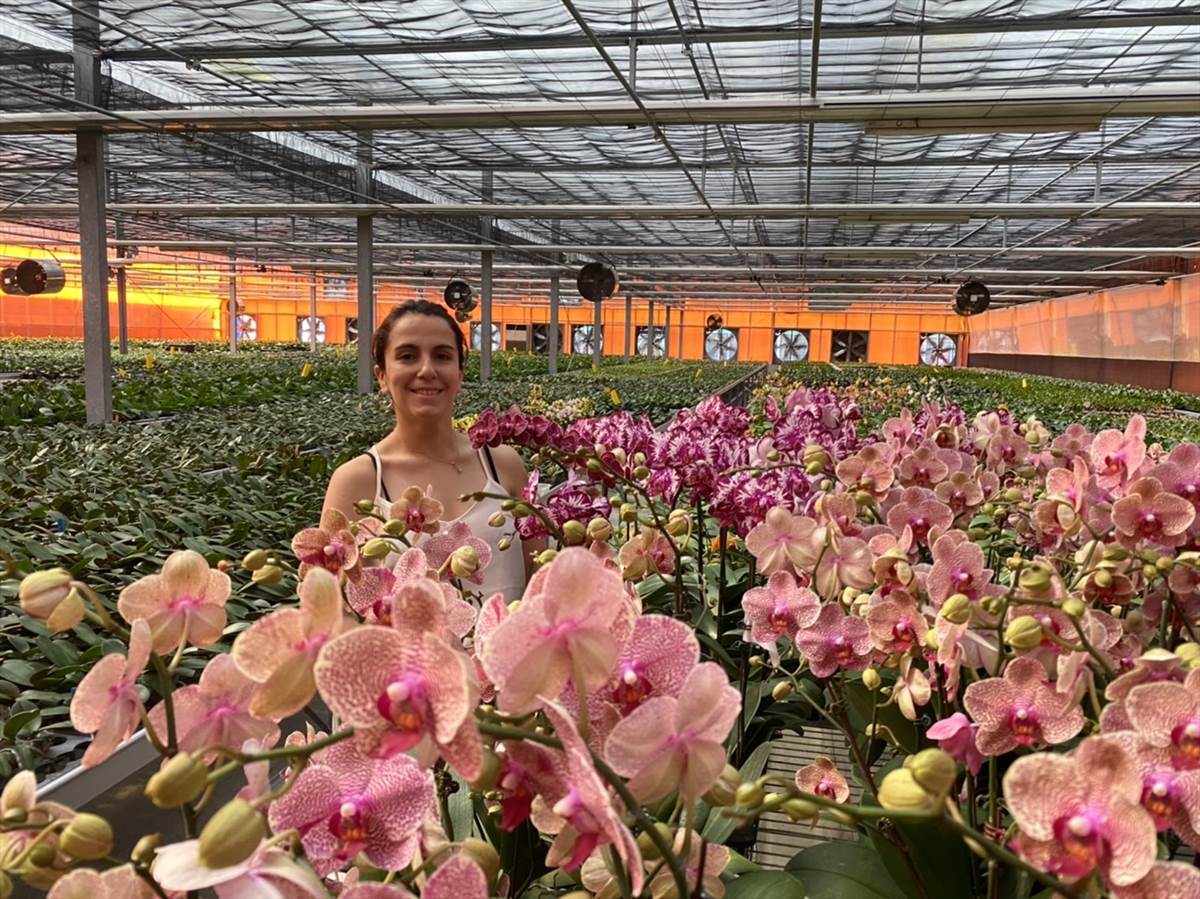 04.Chilean National and KSU Master’s Degree Holder Alejandra Nonambueana Opens International Market for the Taiwan Phalaenopsis Orchid 