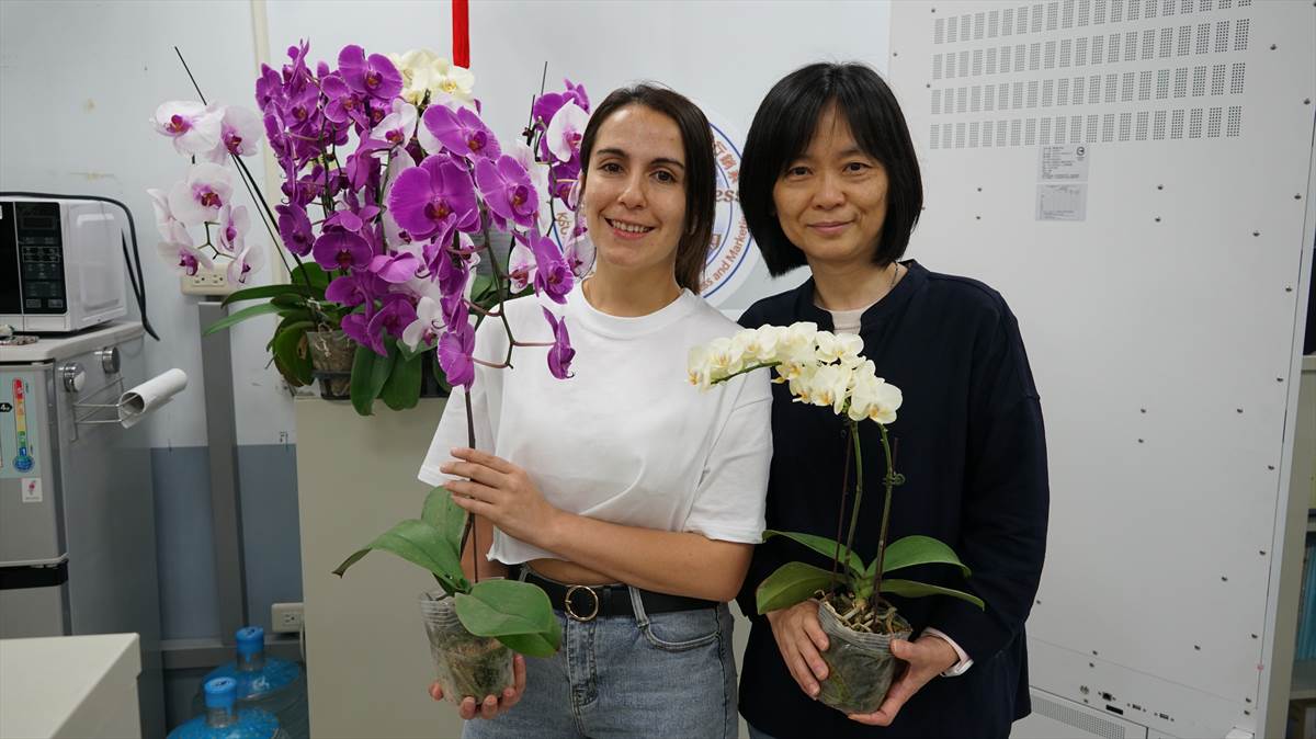 02.Chilean National and KSU Master’s Degree Holder Alejandra Nonambueana Opens International Market for the Taiwan Phalaenopsis Orchid 
