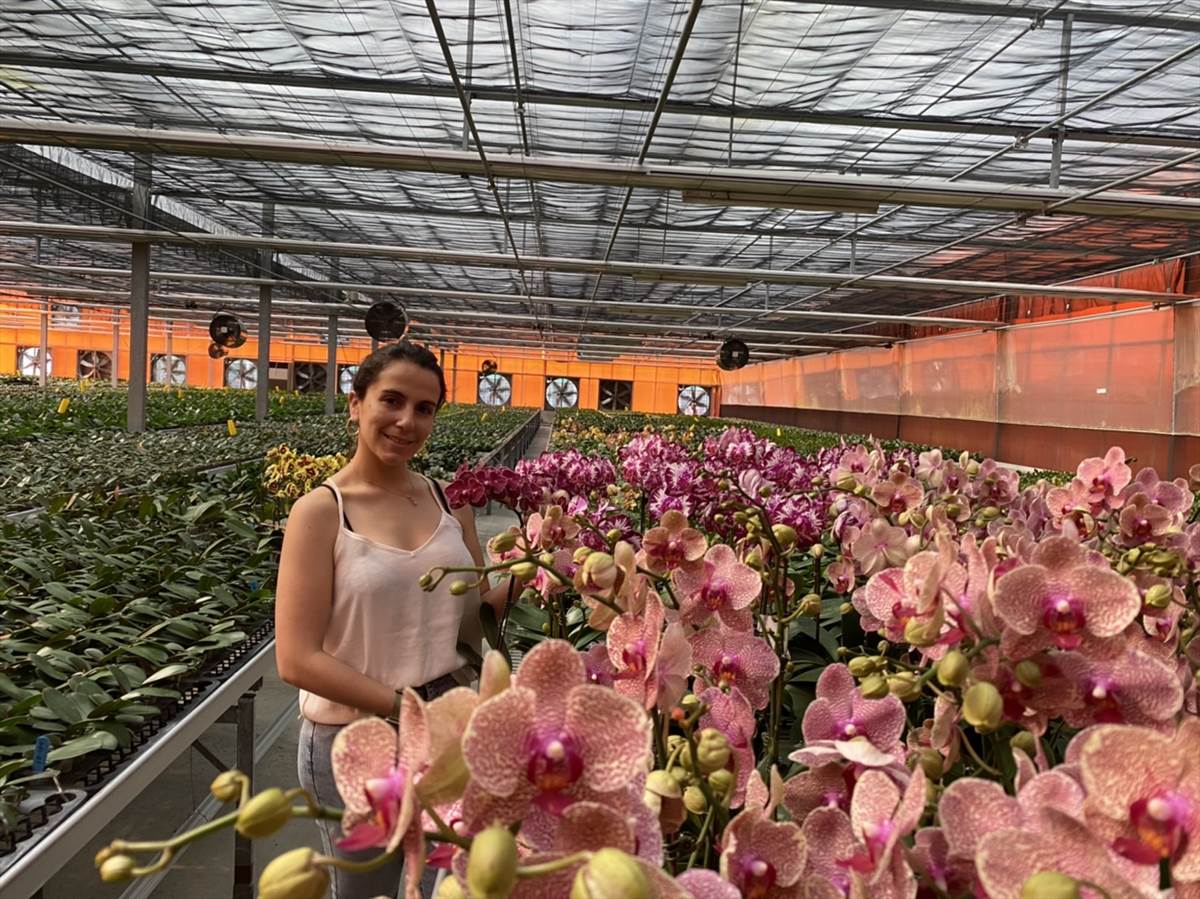 01.Chilean National and KSU Master’s Degree Holder Alejandra Nonambueana Opens International Market for the Taiwan Phalaenopsis Orchid 