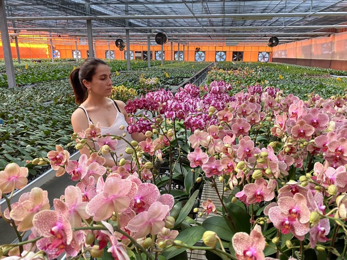 05.Chilean National and KSU Master’s Degree Holder Alejandra Nonambueana Opens International Market for the Taiwan Phalaenopsis Orchid 